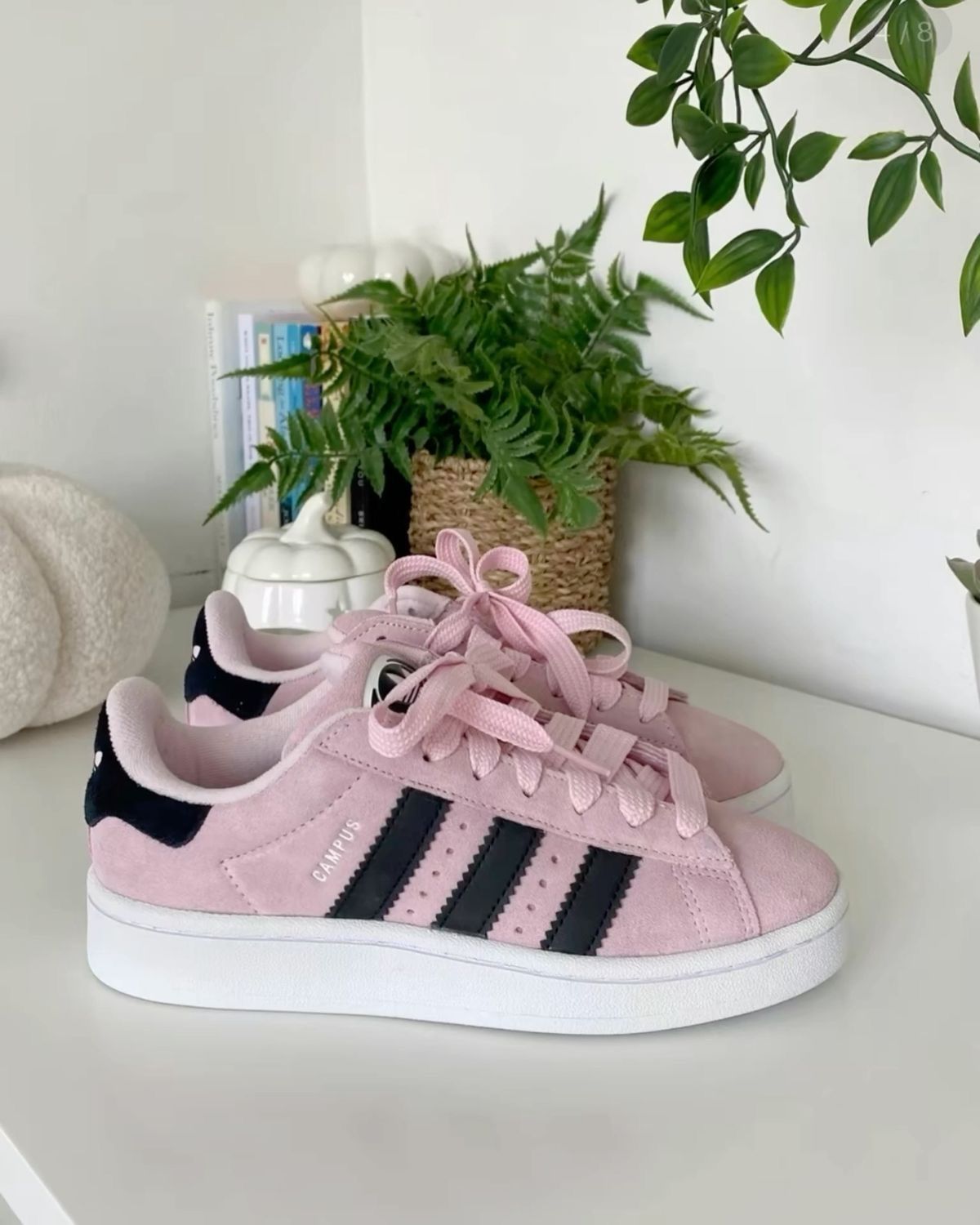 Adidas Campus - rosa